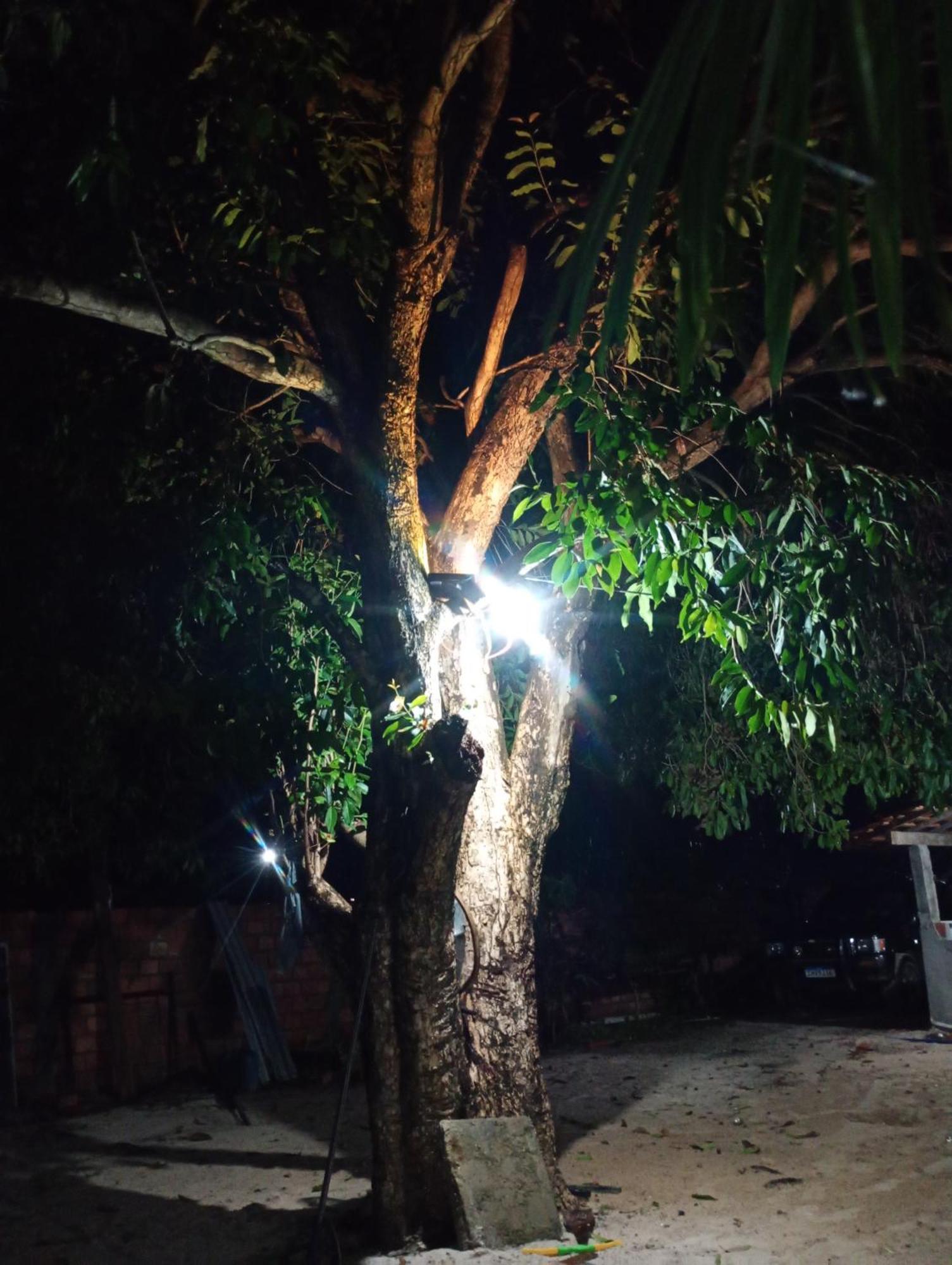 Pousada Shalom E Hostel Holly Land Santo Amaro do Maranhao 外观 照片