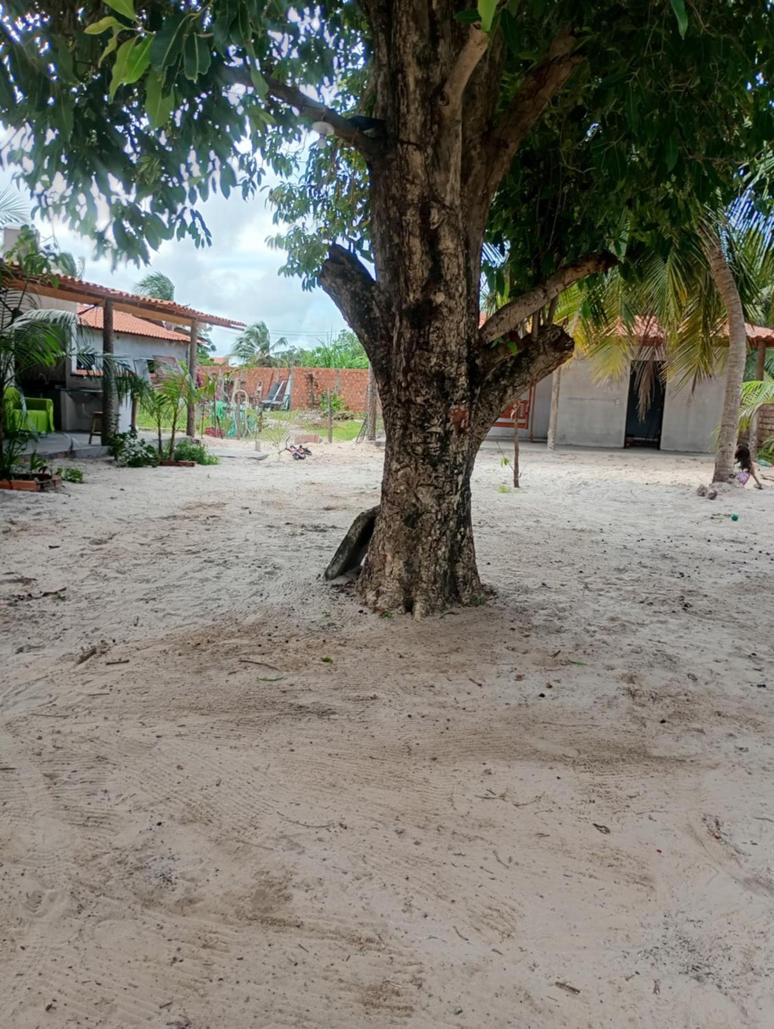 Pousada Shalom E Hostel Holly Land Santo Amaro do Maranhao 外观 照片
