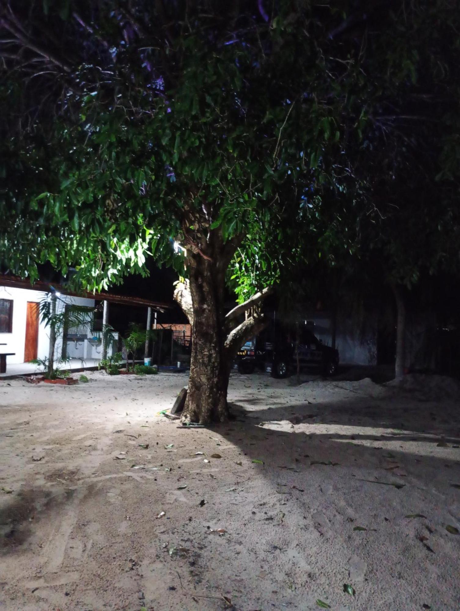 Pousada Shalom E Hostel Holly Land Santo Amaro do Maranhao 外观 照片