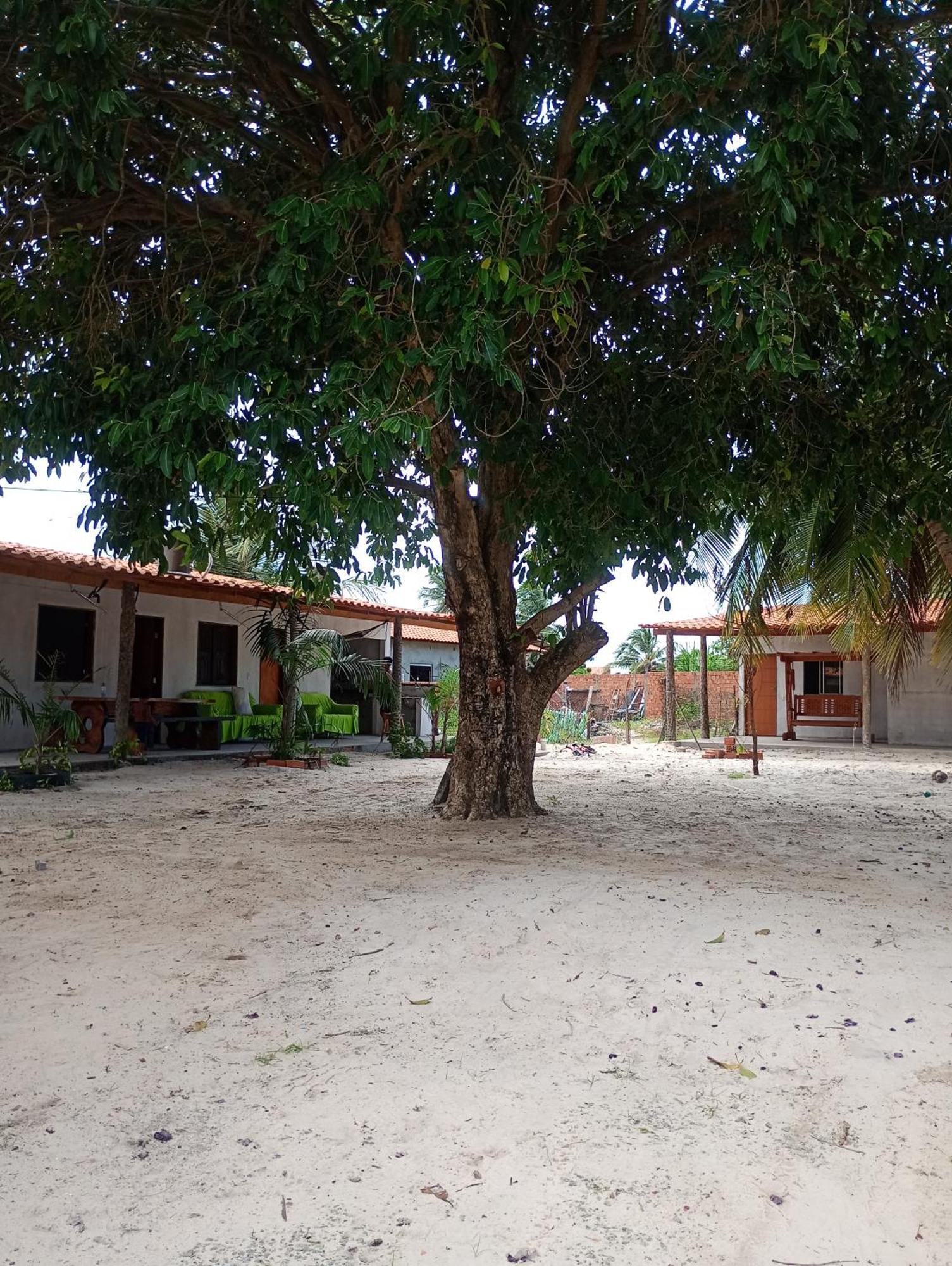 Pousada Shalom E Hostel Holly Land Santo Amaro do Maranhao 外观 照片