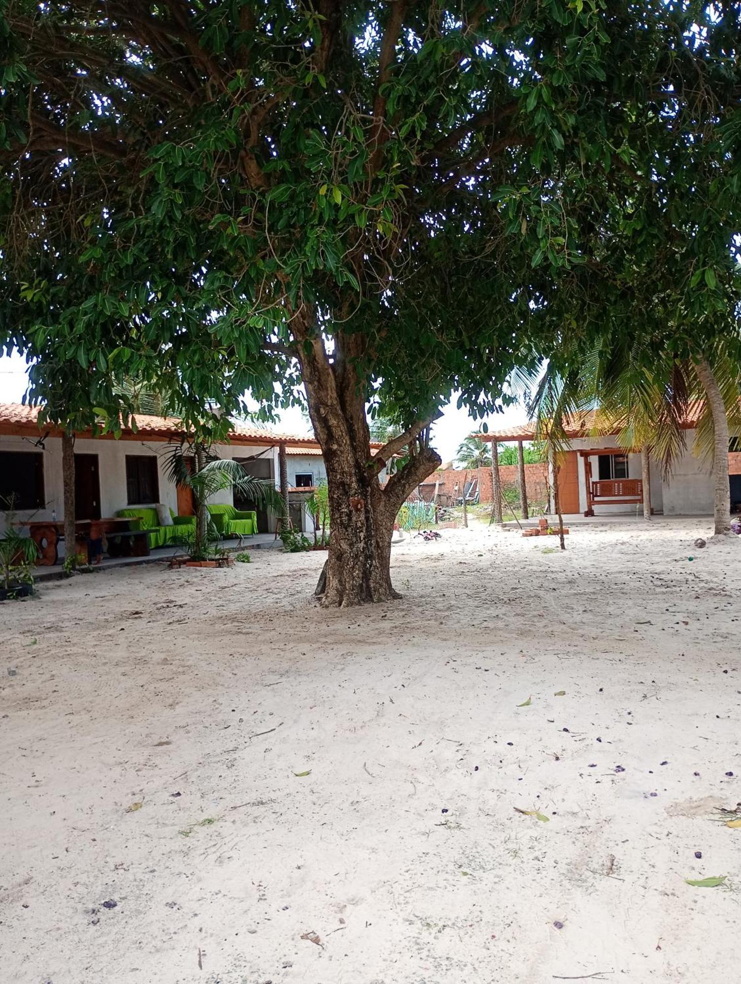 Pousada Shalom E Hostel Holly Land Santo Amaro do Maranhao 外观 照片